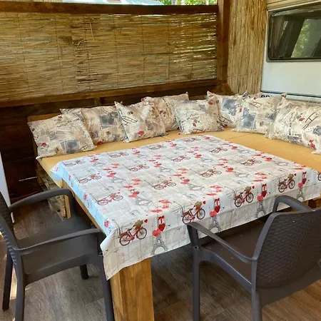 Camping Forest Beach Caravan