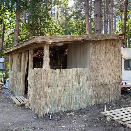 Camping Forest Beach Caravan Chernomorets