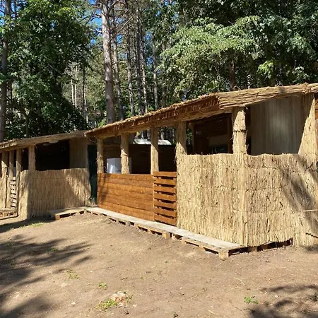 Camping Forest Beach Caravan Chernomorets