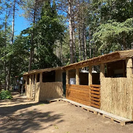 Camping Forest Beach Caravan *